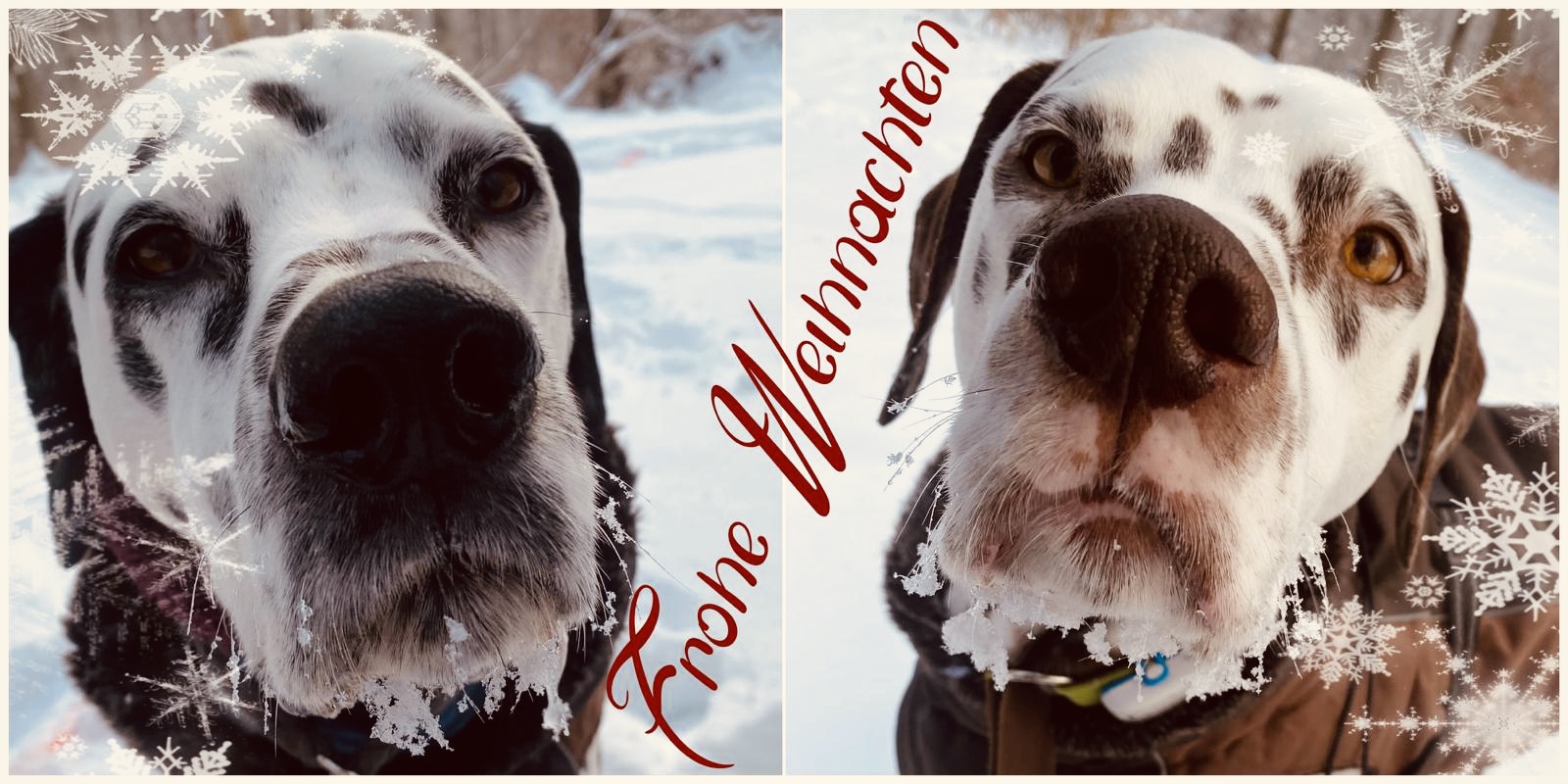 b0a1de72 58b7 4dcb 81ce c9ec9efa1352